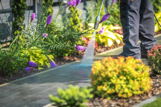 Best Commercial Pressure Washing in Cody, WY